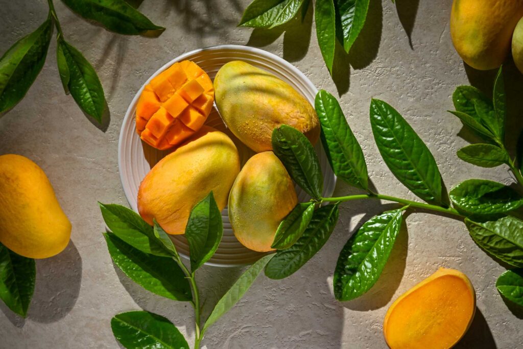 Kesar mangoes with cut mango and who ones fresh with water droplets against leaves and concrete background